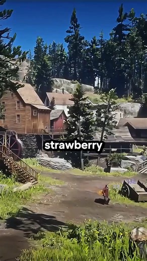 RDR2 Best Towns
