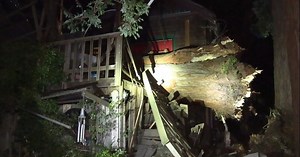 Downed tree destroys deck, damages roof of North Berkeley home