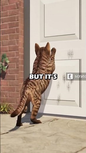 FINALLY A Good Open World Cat Simulator?!