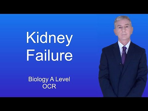 A Level Biology Revision (Year 13) "Kidney Failure"