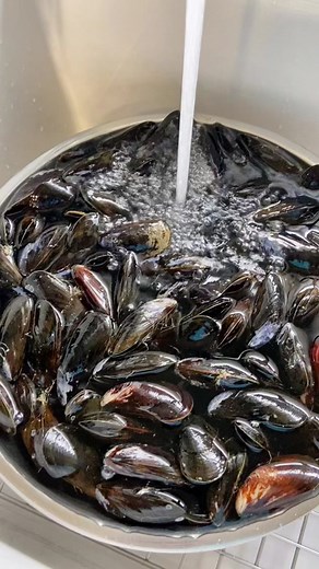 Easy Hack to Clean Mussels | Removing Sand from Mussels
