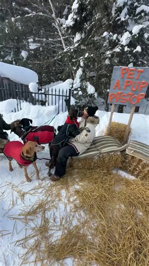 Kearney Dog Sled Races on Reels