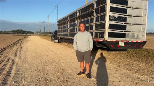 Florida Pigeon Derby on Reels