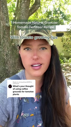Homemade Natural Granular Tomato Fertilizer Recipe
