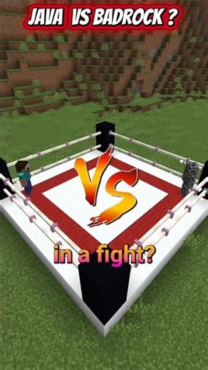 bedrock player VS java player? part 2 #minecraft #shorts