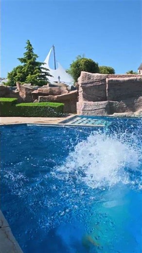 Diving Board at Aquapark Nessebar 🇧🇬