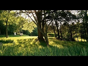 OnePlus One DCI 24 FPS 4K Cinematic Video Samples (4096X2160)