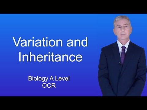 A Level Biology Revision (Year 13) "Variation and Inheritance"