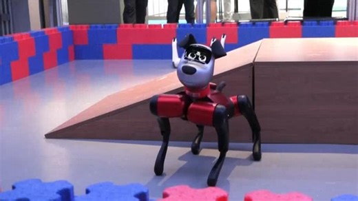 Chine : la Conférence mondiale des robots 2025 s'est ouverte à Pékin