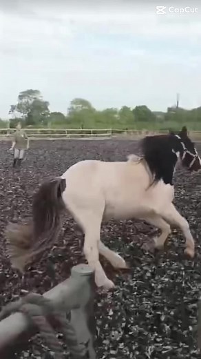 Meme.jack1 on TikTok