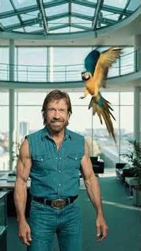 Chuck Norris
