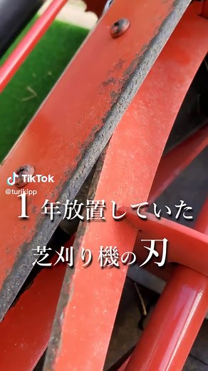 切れ味の悪かった芝刈り機！スパスパ切れるように刃を研ぎました。 #芝生 #芝刈り機 #刃研ぎ #お手入れ #グランドカバー #ガーデニング #お庭のある生活 #雑草対策 #庭作り #芝刈り