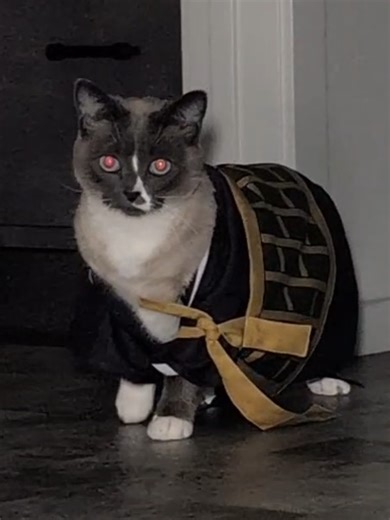 Understanding Suguru Geto in Jujutsu Kaisen