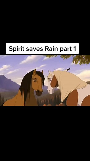 Spirit And Rain Clips on TikTok