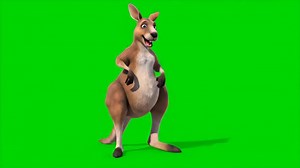 Cartoon Kangaroo Walking on Green Screen During Daytime Animation