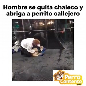 2.2M views · 76K reactions | En un video viralizado recientemente se muestra cómo un hombre se quita una prenda de ropa y se la pone a un can callejero. En el clip se ve cómo el can está acurrucado, con frío, cuando un hombre al verlo decide quitarse el chaleco y ponérselo. La acción no resultó indiferente para quienes estaban cerca y decidieron grabar el tierno momento. Fuente: Excelsior | Perro Contento | Facebook