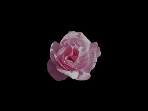 ☆ 40+ SOFTCORE/LOVECORE edit AUDIOS ⋆˚꩜｡ + timestamps ☆
