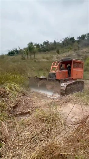 FD 130 fazendo estrada #tratordeesteira #dozer #bulldozer