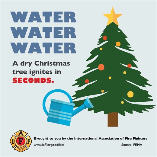 5.4K views · 51 reactions | Christmas tree fires are some of the deadliest home fires that fire fighters and paramedics respond to. If you bring a live tree into your house, make sure to water it every day and do not leave the lights on when you are out of the house or asleep. | International Association of Fire Fighters | Facebook