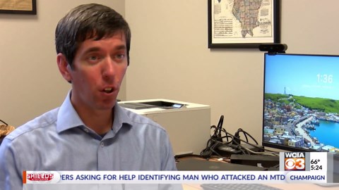 Invasive stink bugs popping up in your home? Here's how to keep them out