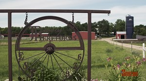 353 reactions · 49 shares | What started as a 4H project became a lifelong love for the Delaney family. Today, Jerry Delaney of Lake Benton, Minnesota, continues to raise Herefords in the state’s farm country. “They have a lot to offer,” Jerry says. Efficiency, docility, mothering ability – and a bright future. #ComeHomeToHereford | American Hereford Association | Facebook