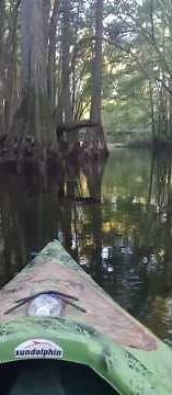 Lumber River Kayaking and exploring. comment/like. #nature #kayaking #fishing