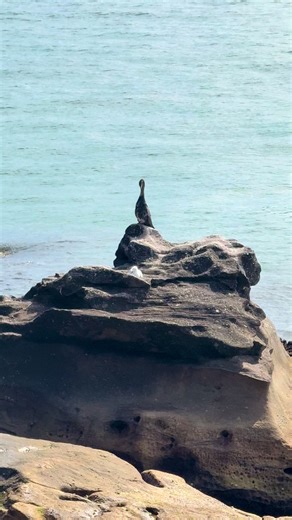 Lady Bay Beach: A Coastal Nature Adventure