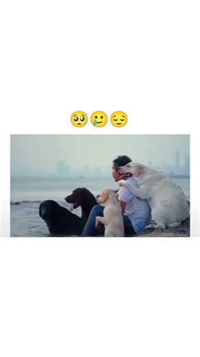 #bollywood #song #coversong #cover #movie #flute