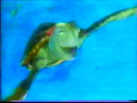 Gdzie jest Nemo - reklama VHS i DVD z 2004 roku (wersja 2)