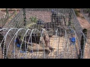 Coconut Tree Prison Museum Phu Quoc Island