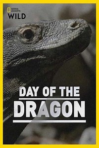 Day of the Dragon - Movie