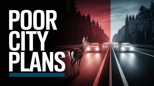 Are Poor City Plans Pushing Wildlife Into Conflict With Humans?