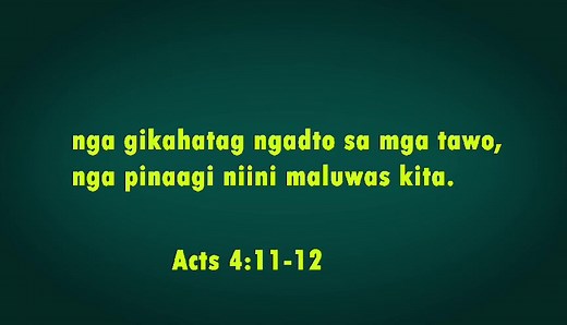 6.2K views · 217 reactions | The TRUTH Bible Program on Reels | Facebook