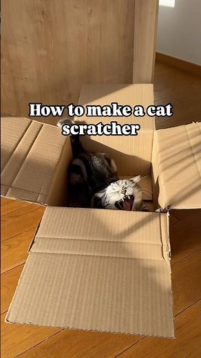 Make a super easy cat scratcher for your kitty at home🙀 #cat #cats #diy #scratchers #catshorts