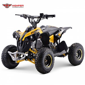 [Hot Item] 1200W 48V Brushless Motor Electric Kids off Road Quad Bike 4 Wheelers Mini Atvs