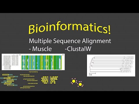 Multiple Sequence Alignment at the Terminal with Conda