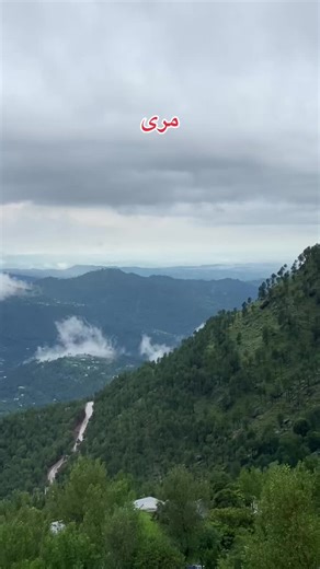Explore Murree: A Hidden Gem in Pakistan's Nature