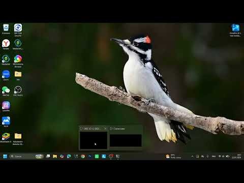 Future Developer | Python #3 - Python User Input & Math Operations