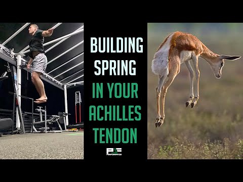 How I Turned My Achilles Tendon Into a SPRING Like a Gazelle!