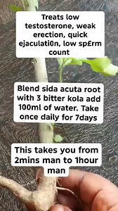 45K views · 196 reactions | WhatsApp as +254783399808,or website as...