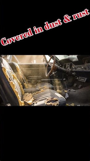 Abandoned 1967 Shelby GT500 😳 Left to Rot for Years #shorts
