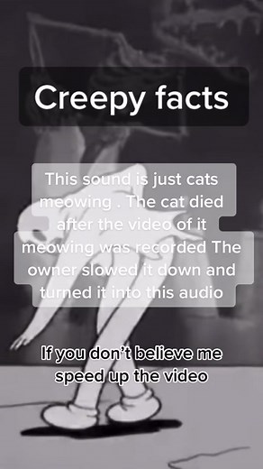 Terrifying Sounds of a Cat Meowing - Creepy Facts Revealed