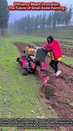 Efficiency Meets Innovation | The Future of Small-Scale Farming