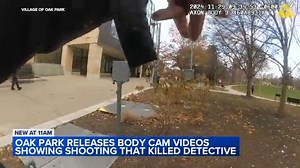 12K views · 45 reactions | The village of Oak Park released bodycam video of a shooting that killed police Detective Allan Reddins late last year. https://bit.ly/4fPVOwK | ABC 7 Chicago | Facebook