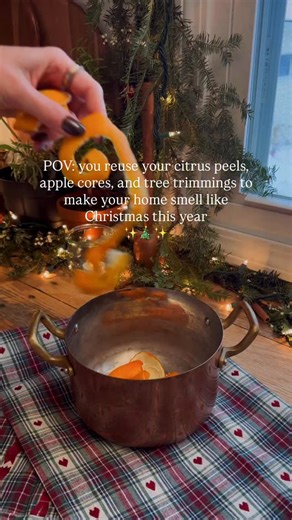 Zero-waste simmer pot - the OG diffuser 🌲🍊🍎💨 Here are other things to add this season to add valuable moisture into the dry air AND make you home smell all sorts of cozy: Cinnamon sticks Cranberries Vanilla Nutmeg Cloves Ginger Rosemary Leftover dried orange slices Bay leaves I like to reuse the same pot of scraps for a few days and then into the compost it goes. I also add new scraps during that time if the pot has space. Of course, if it stops smelling nice, that’s a good indicator it’s ti