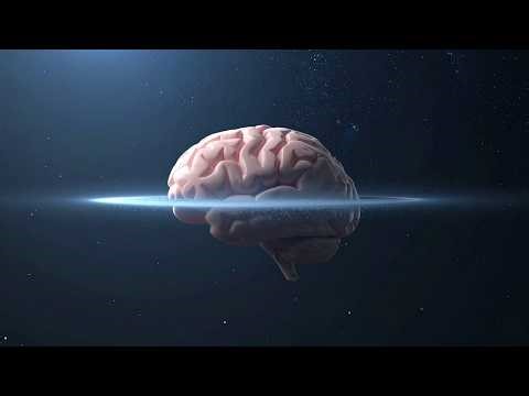 Boltzmann Brains: The Paradox of Fake Memories in Cosmology
