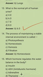 Mcqs related to human excretion | Biology Tonic