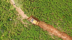 Five ways big brands can source materials more sustainably