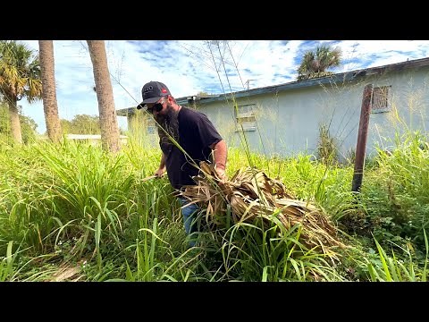 As I was Cleaning this Property it became clear that this was a Huge Hazard for the community