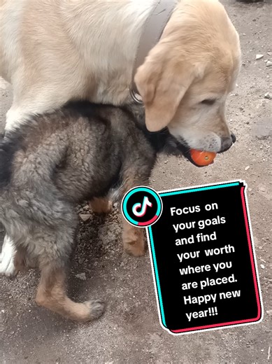 #happynew #selfworth #focusonyourself #selflove❤ #foryoupage @nishfilms @young king dante @Shiro Anne @Wanjiku_mbui @Uncle